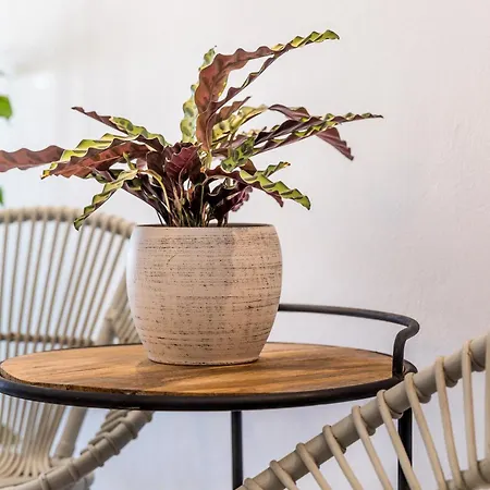 Villa 3 Caves By Caldera *