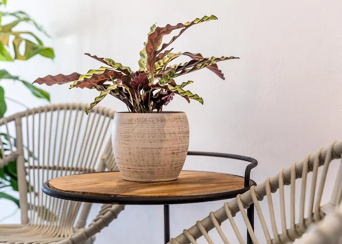 Villa 3 Caves By Caldera *